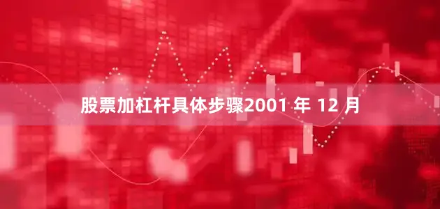股票加杠杆具体步骤2001 年 12 月