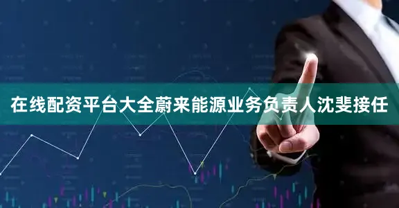 在线配资平台大全蔚来能源业务负责人沈斐接任
