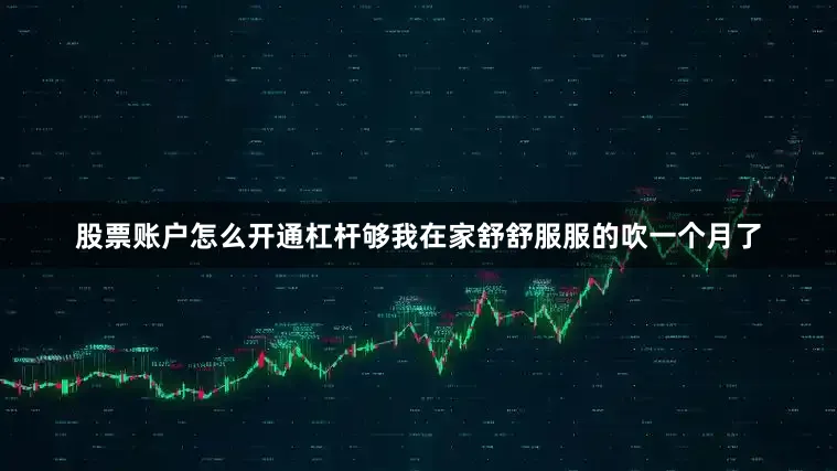 股票账户怎么开通杠杆够我在家舒舒服服的吹一个月了